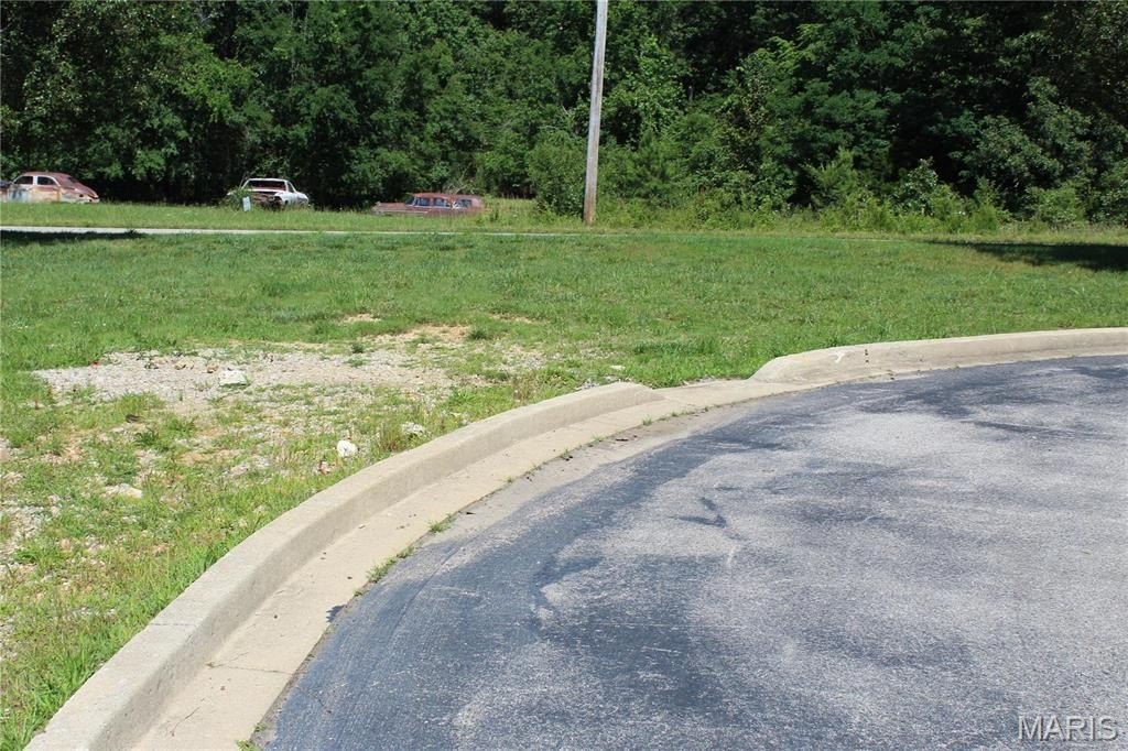 Other - 319 Pintail Lane, Poplar Bluff, MO