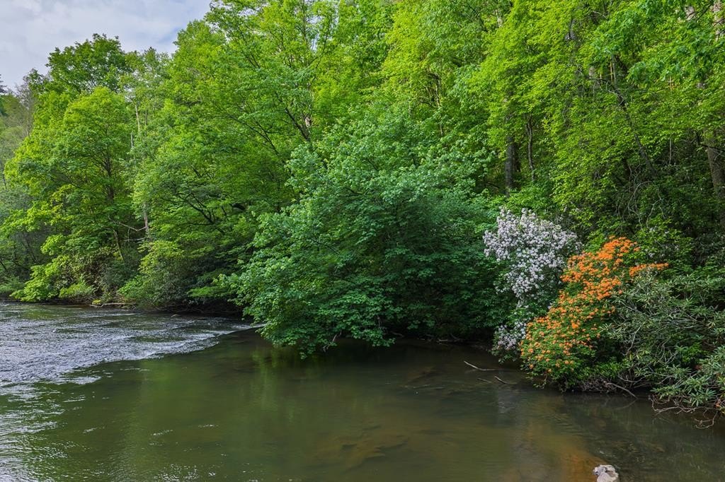 Other - Lot 171 Shenendoa Drive, Ellijay, GA