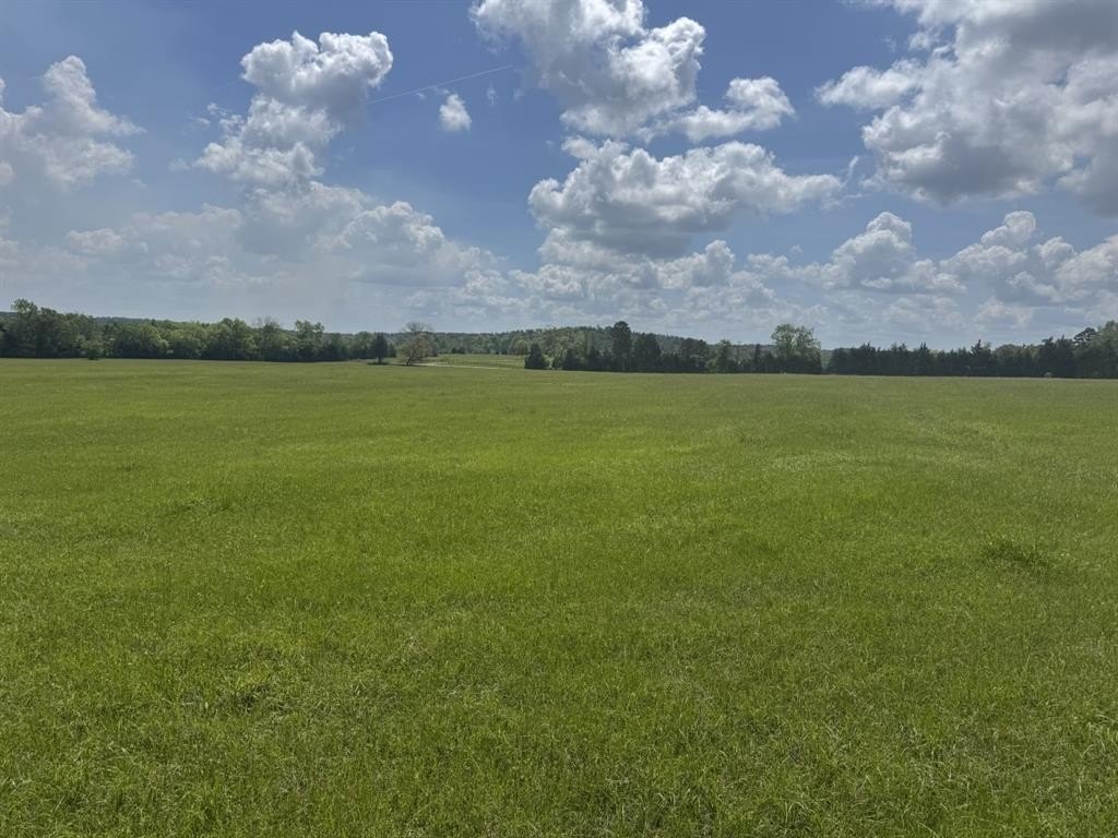 Plots and Land - Tbd-b FM 2867, Henderson, TX