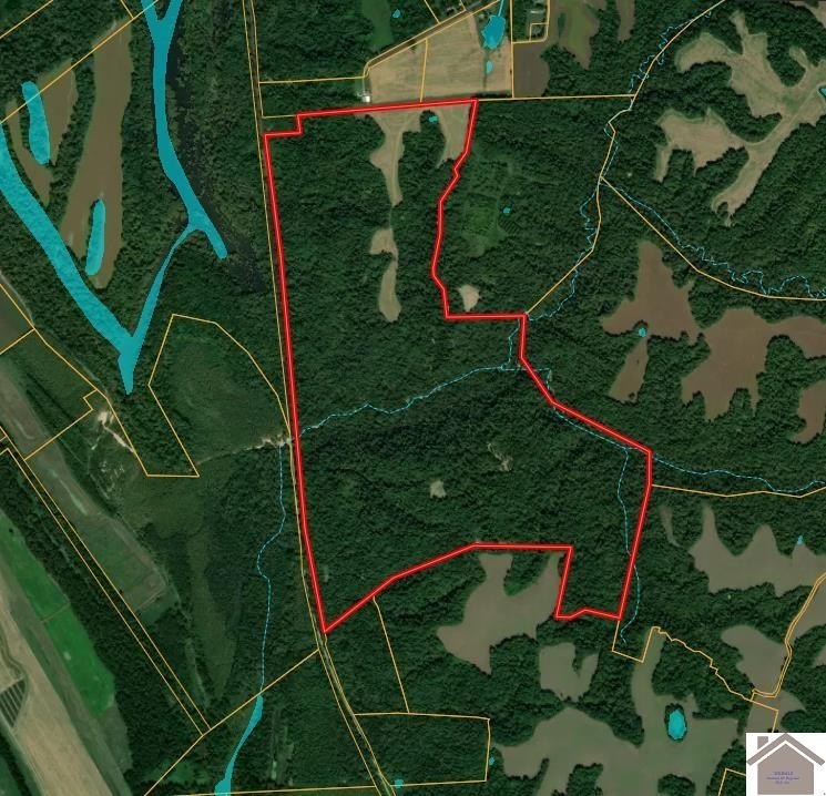 Other - Sandy Branch Road, Bardwell, KY