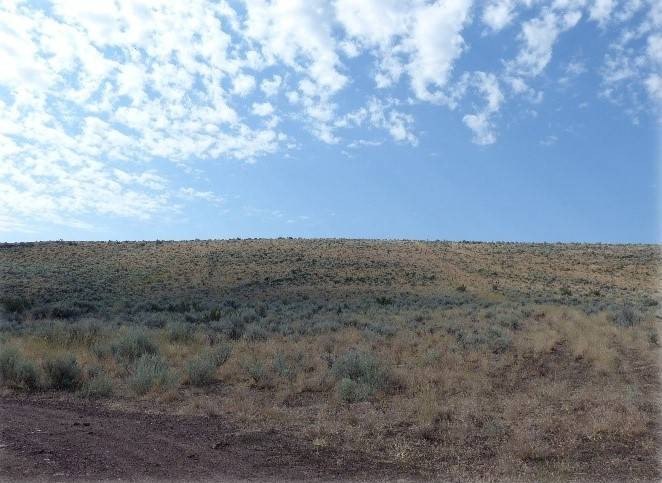 Other - Off Hines Logging Rd (NF-47), Hines, OR