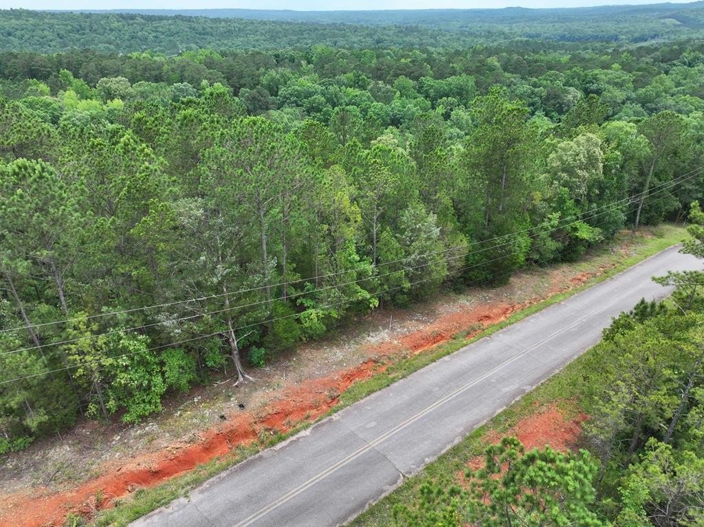 Other - Skyline Drive, Fortson, GA