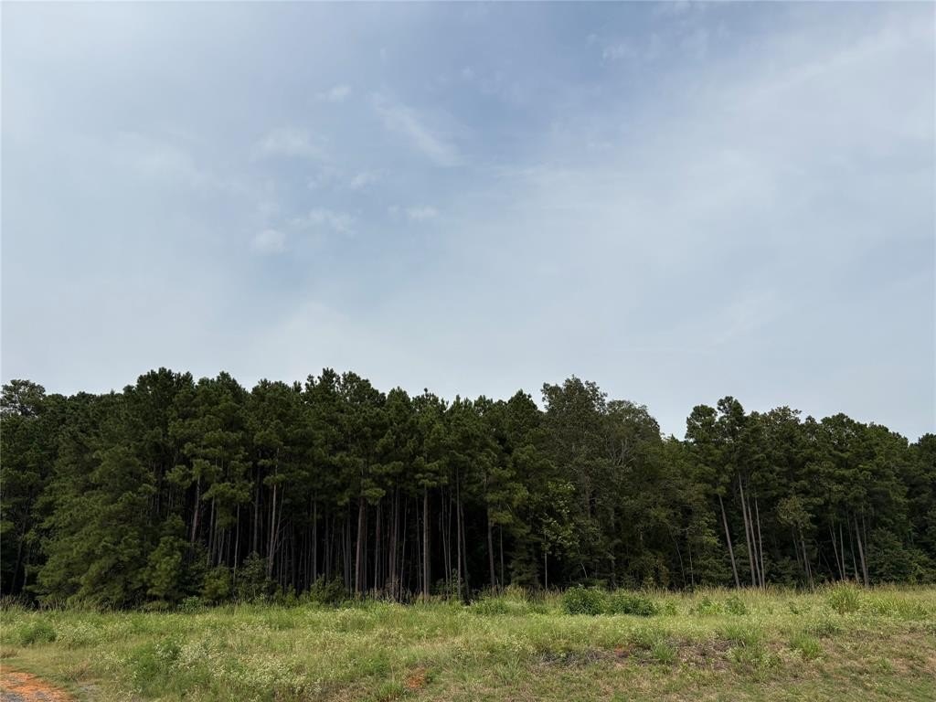 Other - Fox Skin Drive, Haughton, LA