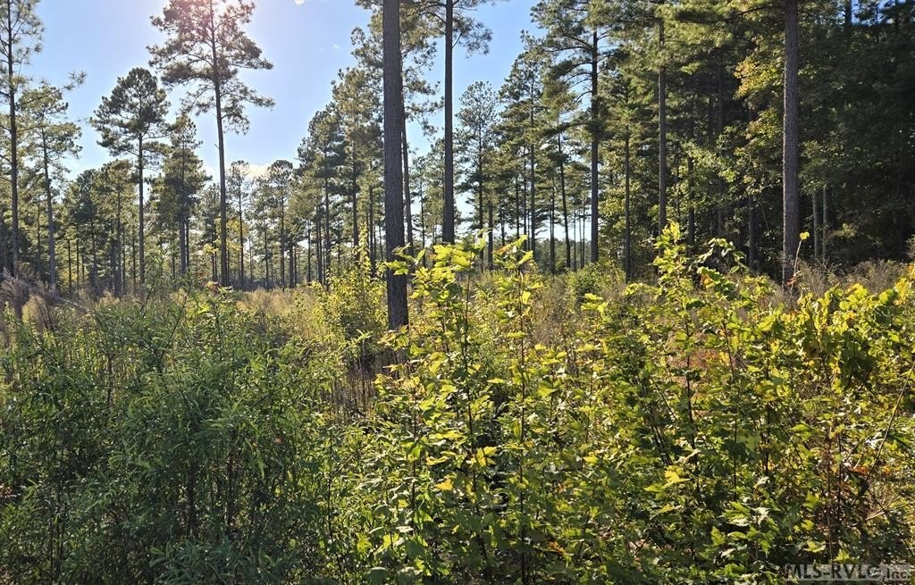 Manufactured Housing - Lot 3 Christanna Hwy, Lawrenceville, VA