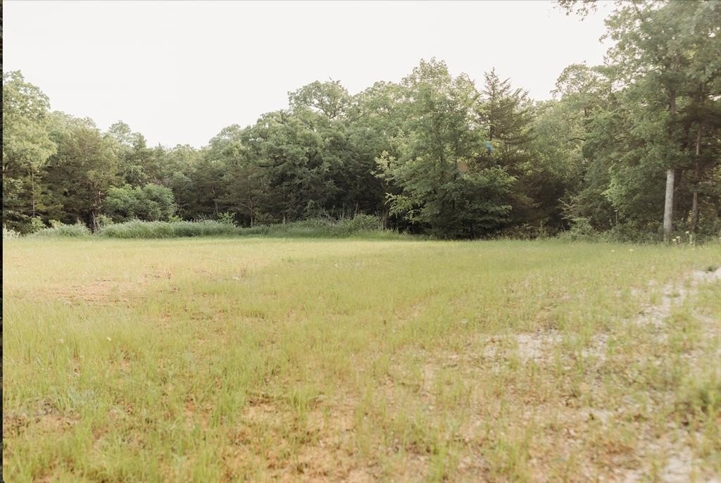 Plots and Land - 137 Yucatan Village Court, Gordonville, TX