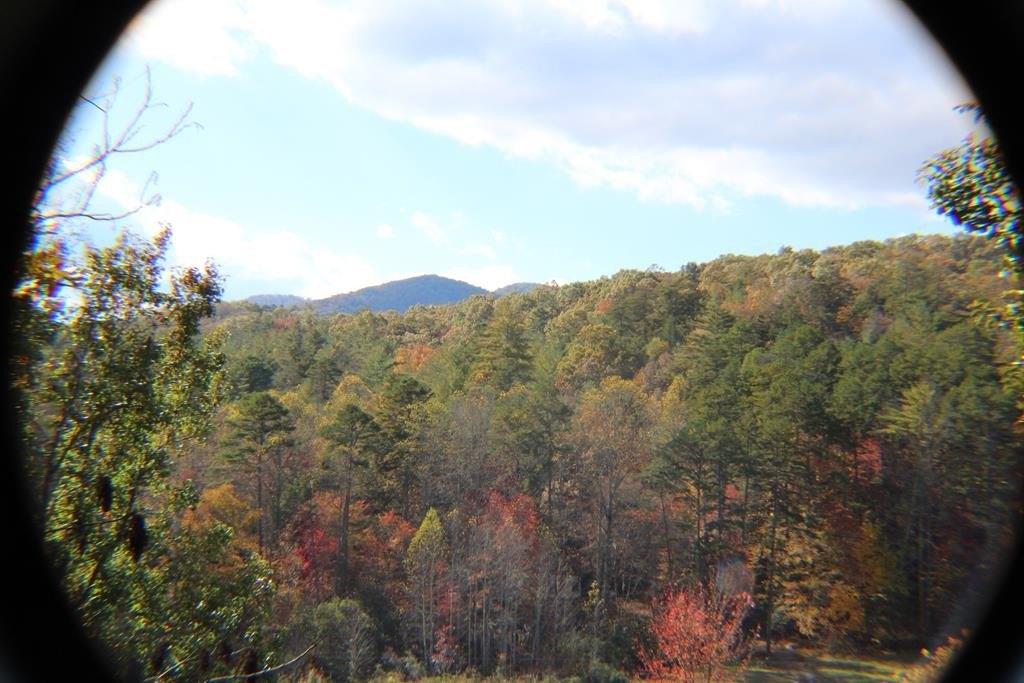 Other - Lot 17 Old Taylors Ferry Ridge, MURPHY, NC