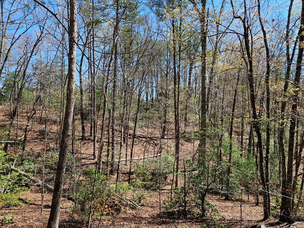 Other - 5.2 Deer Crest Road, Blue Ridge, GA
