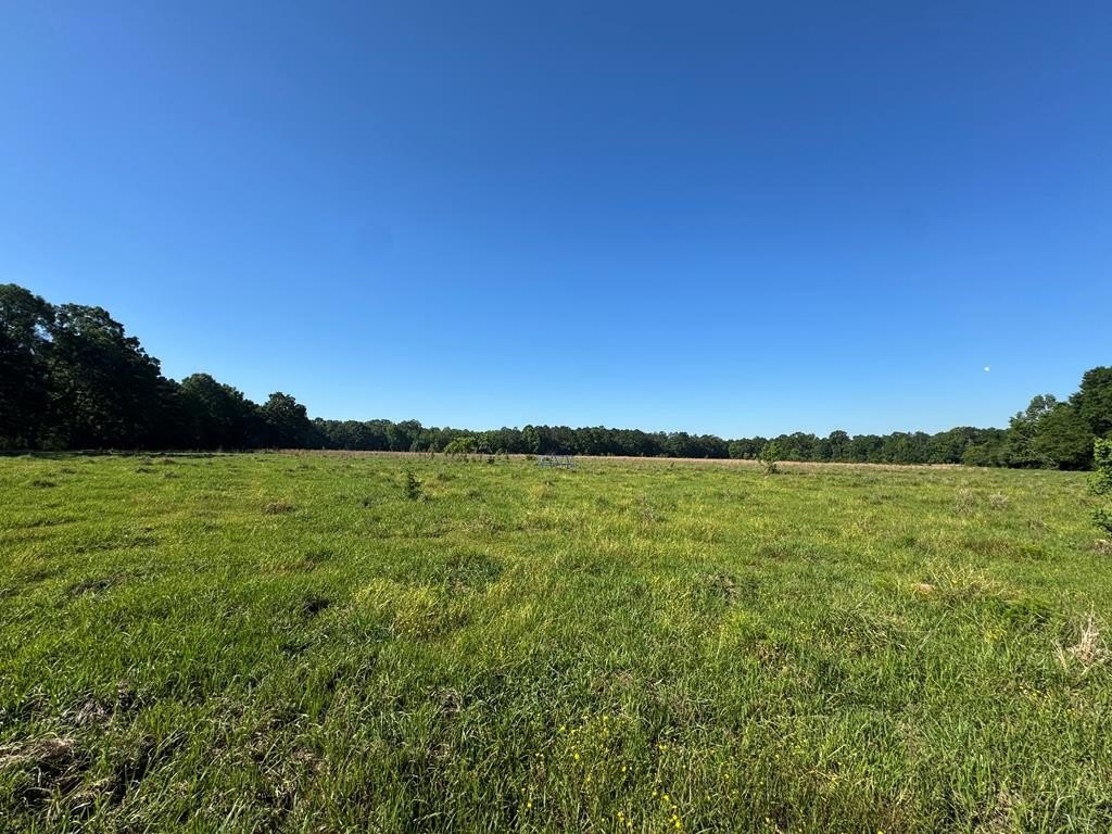 Other - 260 N Mitchel Chappel, Poplarville, MS