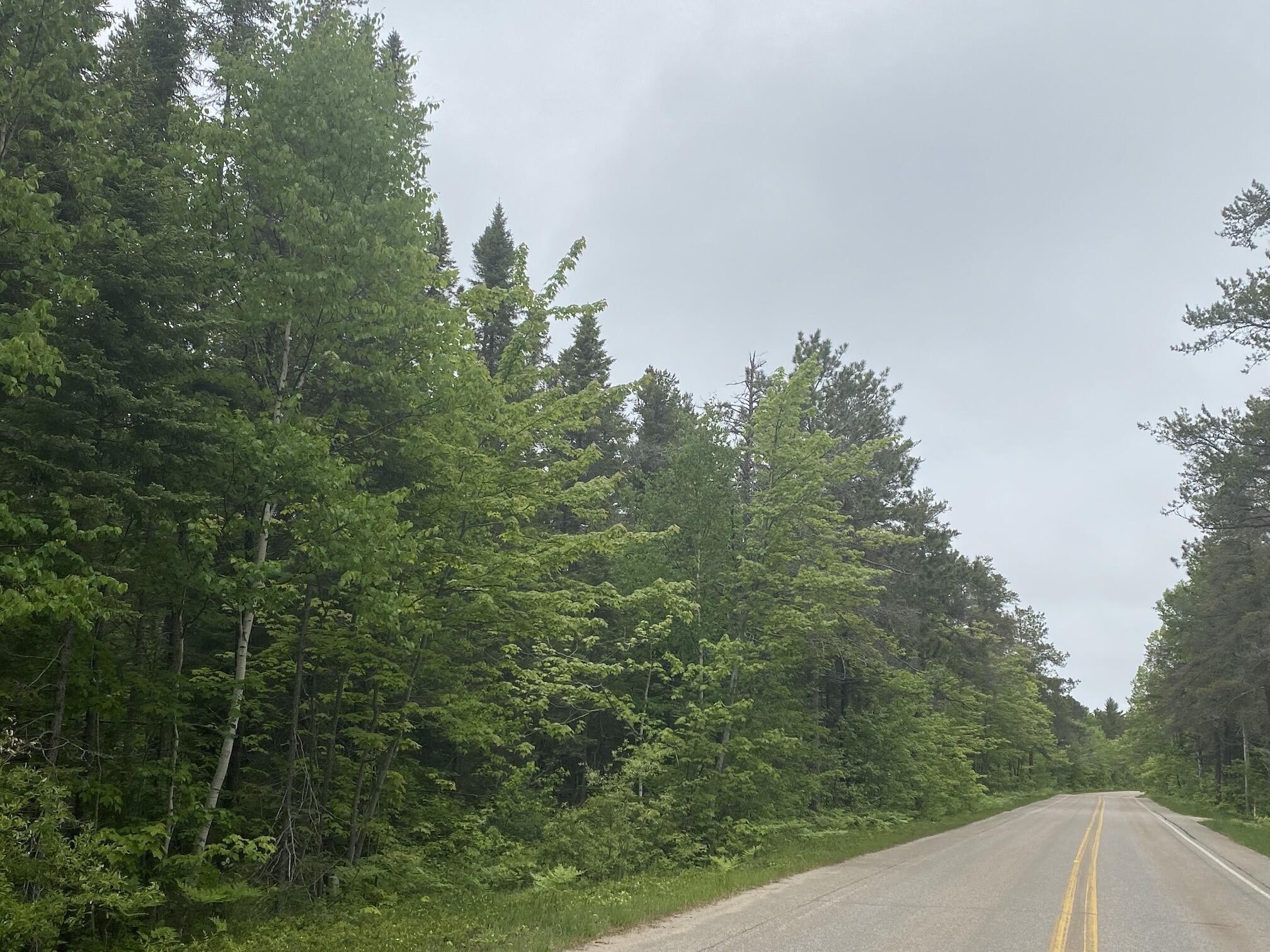 Other - 14599 N Whitefish Point RD, Paradise, MI