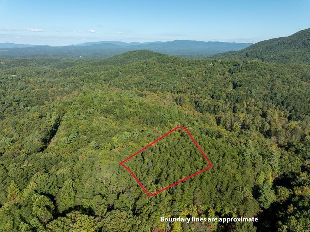 Other - Tract 1 Turniptown Road, Ellijay, GA