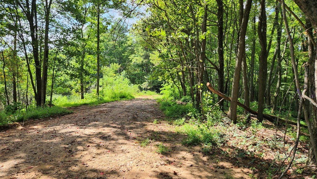 Other - Lot 32 Calvender Road, Turtletown, TN