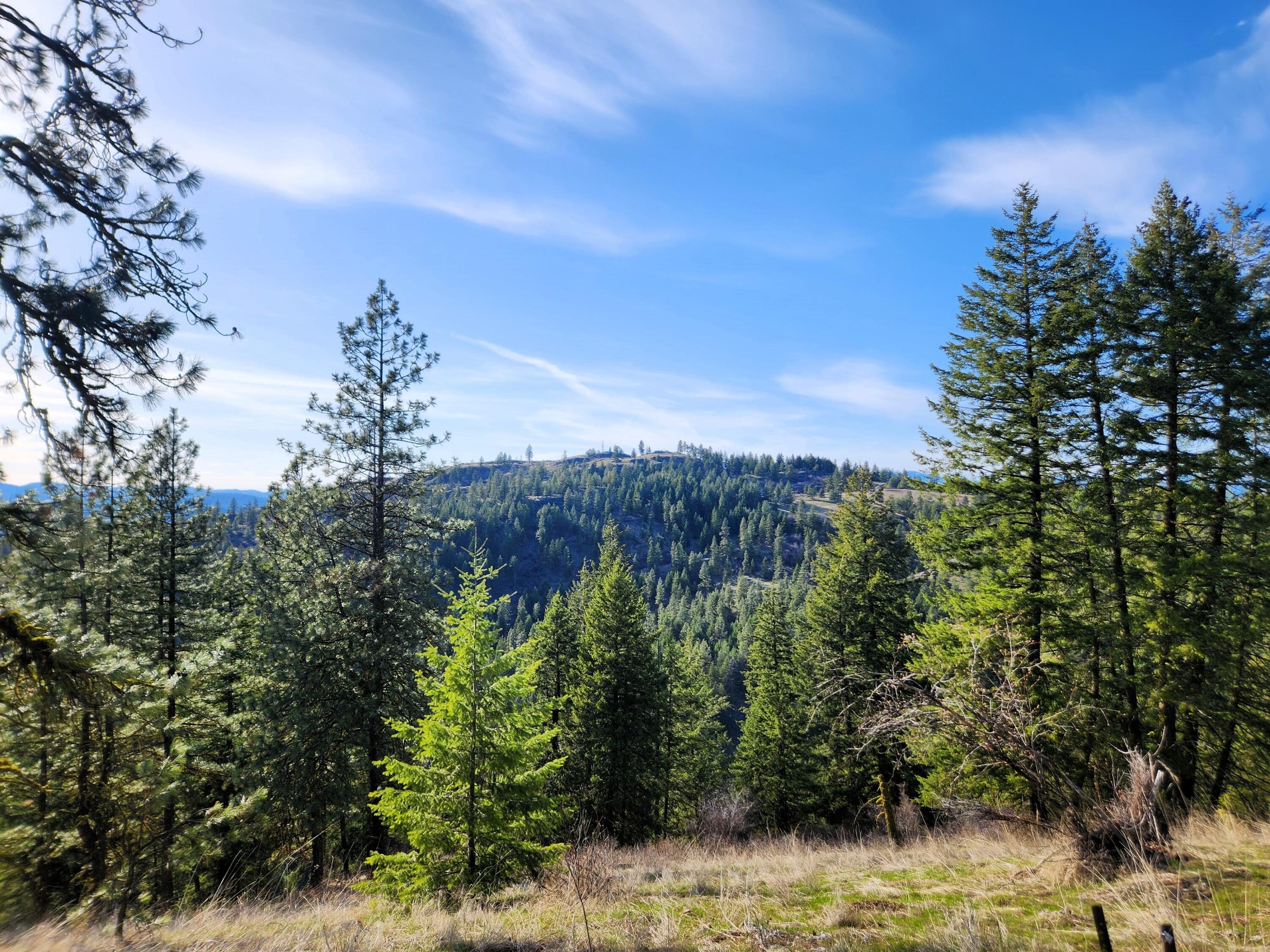 Other - 4021 BISSELL RD, HUNTERS, WA