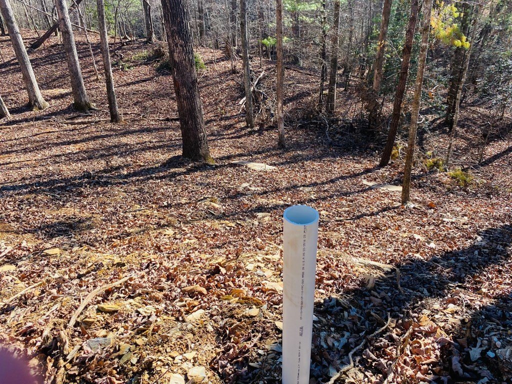 Other - Lot 205 Windy Mountain Peak Lane, MURPHY, NC