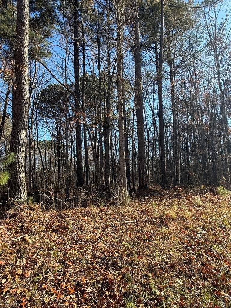 Other - Highway 70n lot: 9, Monterey, TN