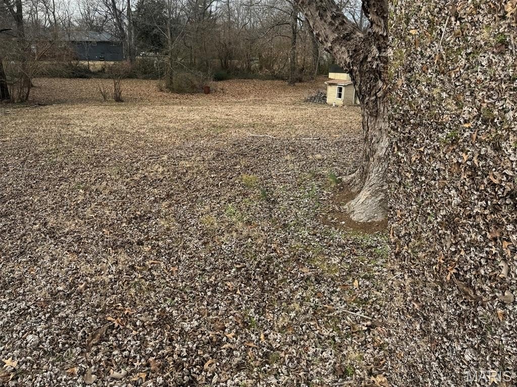 Other - 2523 Shady Lane, Poplar Bluff, MO