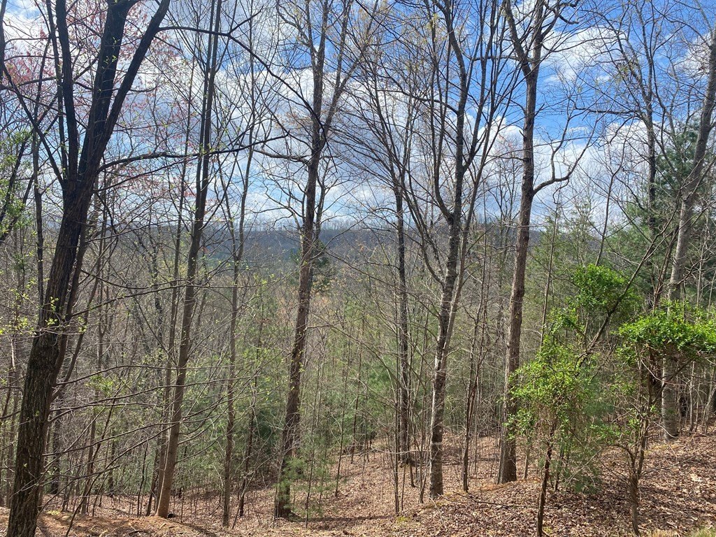 Other - Lot 62 Jitterbug Lane, MURPHY, NC