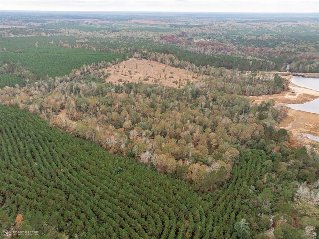 Plots and Land - 452 Kepler Dam Rd, Jamestown, LA