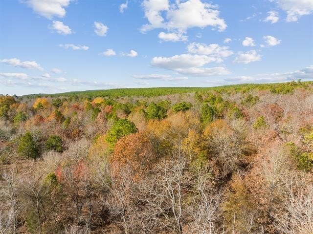 Other - 34 Tram Trail, Rattan, OK