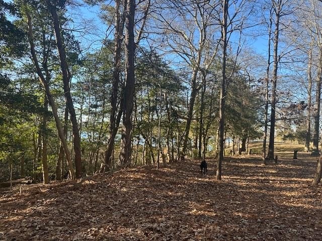 Single Family - Lot 235 White Sand Drive, Heathsville, VA
