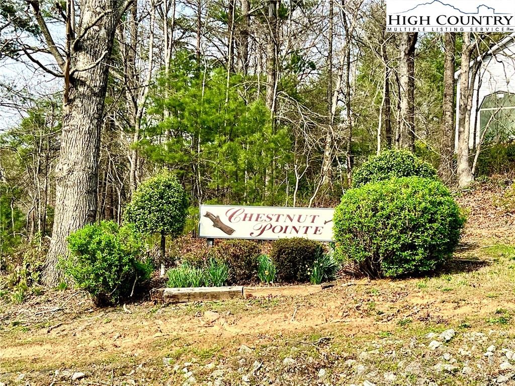 3114 Mountain Laurel Dr  