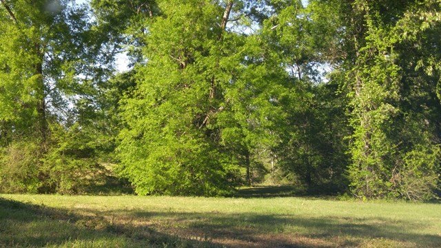 Other - Lot17 Oak Haven Dr, Poplarville, MS