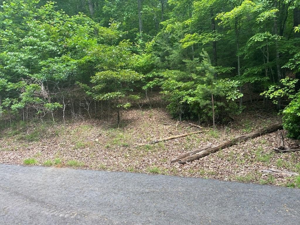 Other - Lot 64 Cirrus Drive, MURPHY, NC