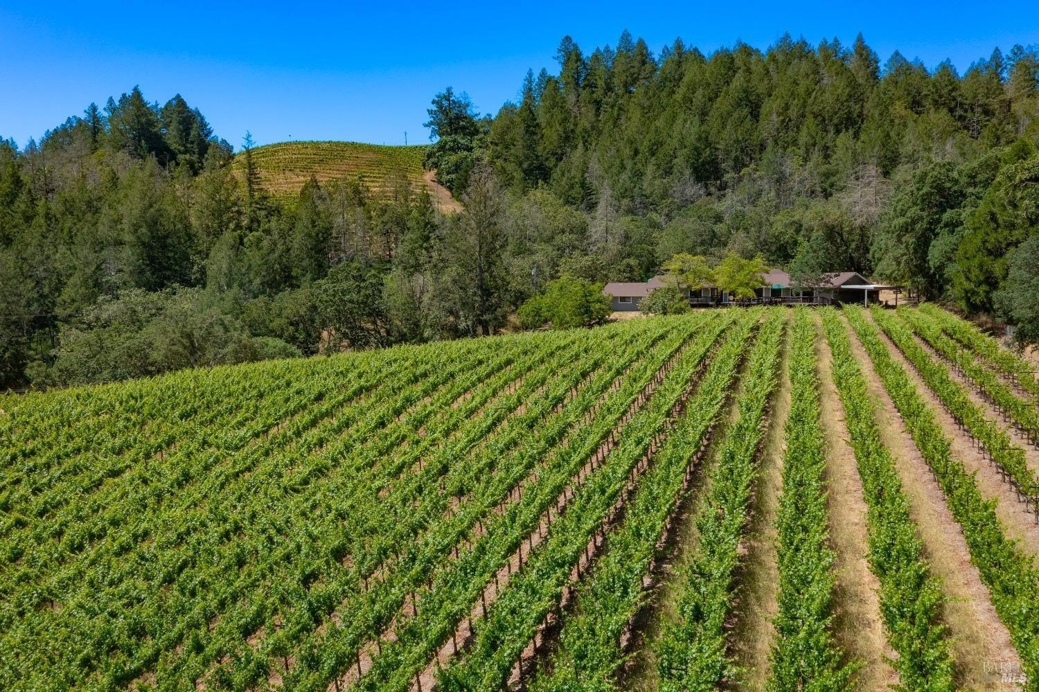 Single Family 2BR 3BA - 2131 Foothill Boulevard, Calistoga, CA