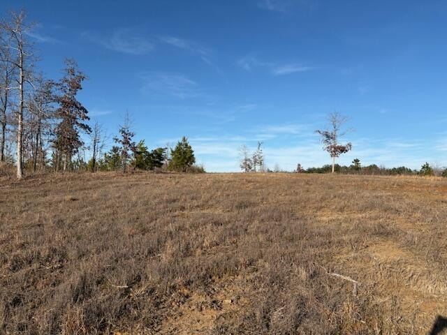 Single Family - 490 Road 1253(Lot 5), Saltillo, MS