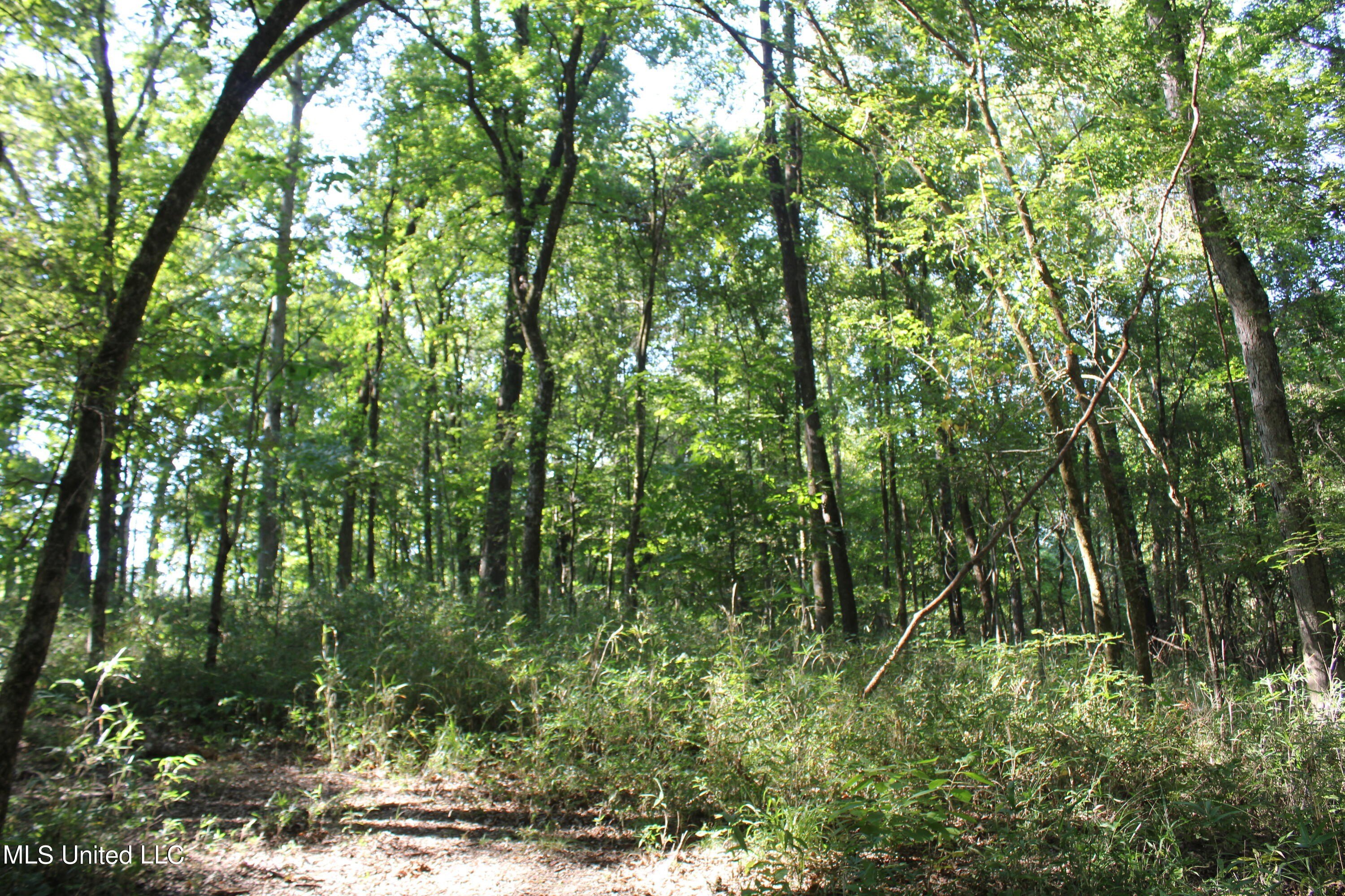 Single Family - 8420 Milne Way, Hernando, MS