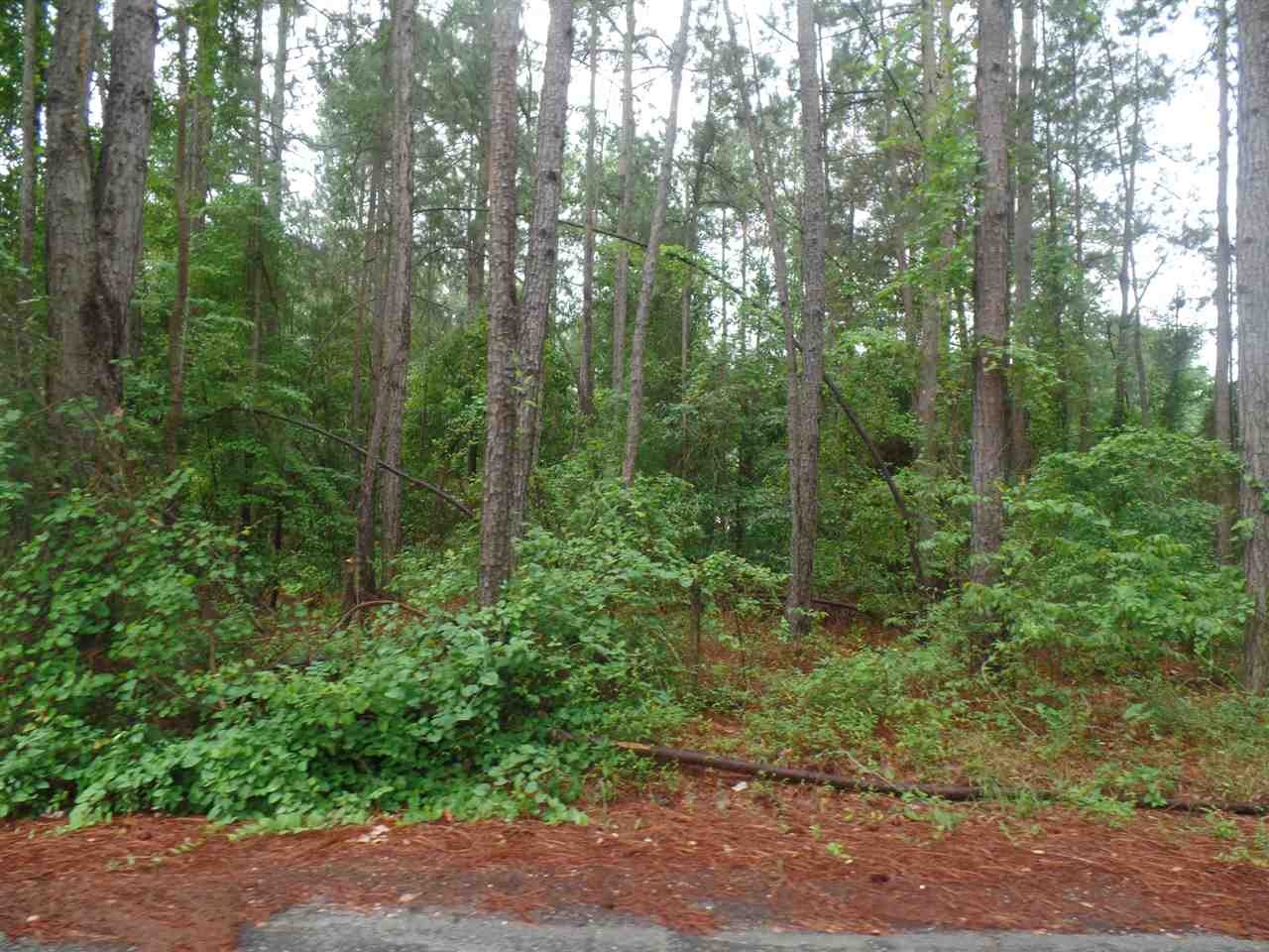 Single Family - Palmetto Dr - Lot 49, Hartsville, SC