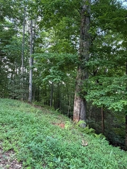 Other - Quiet Mountain Trail lot: 59, Murphy, NC