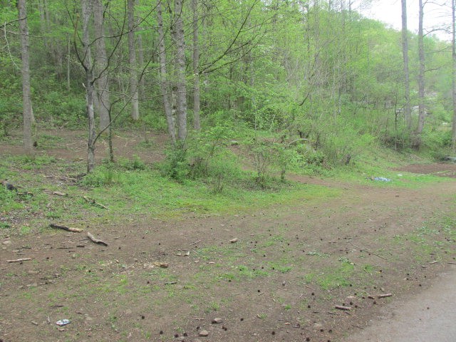 Other - 0 Keathley Fork Toler Creek, Harold, KY