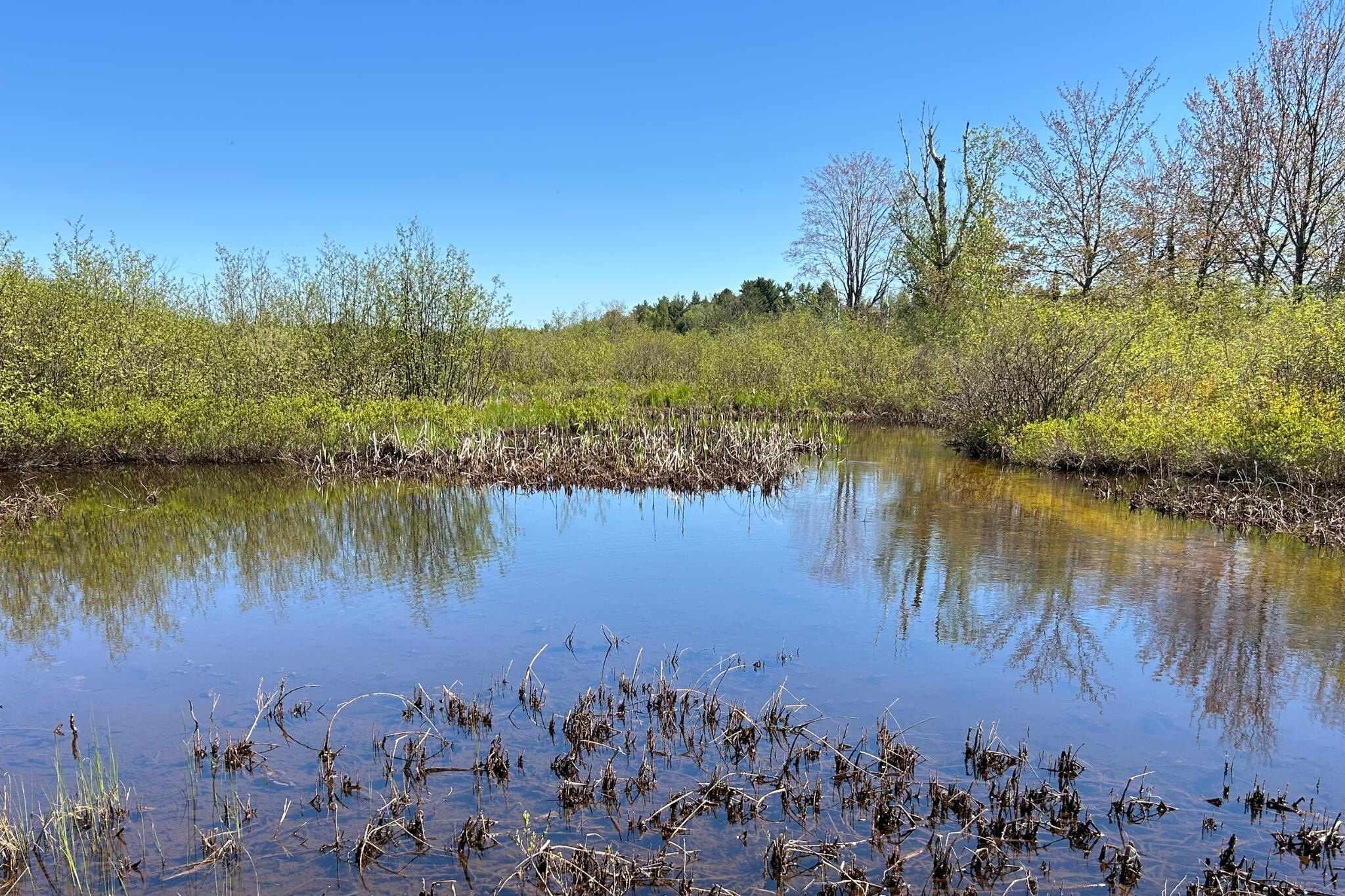 Other - Lot 40 S River Run, Trout Lake, MI