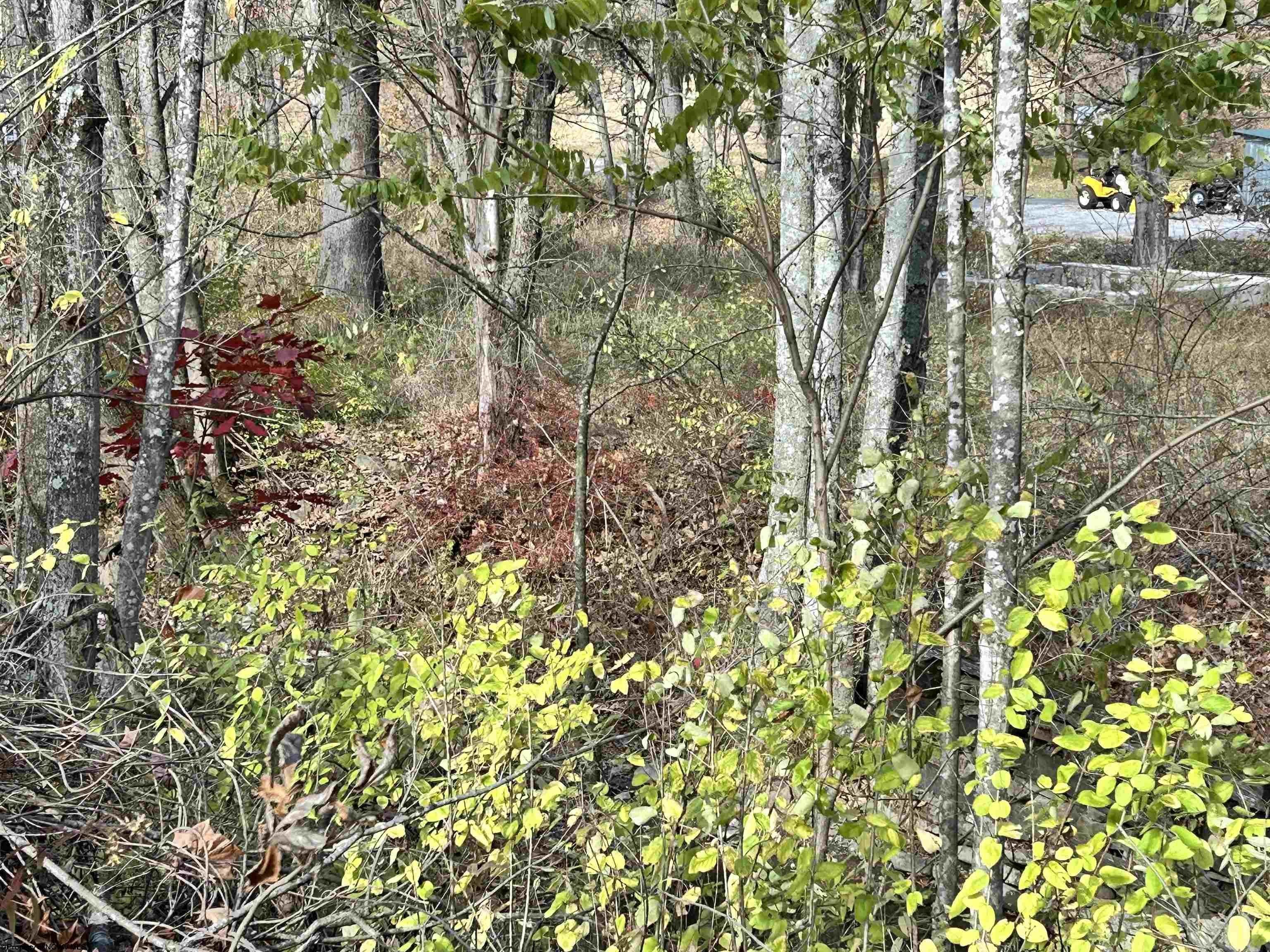 Other - 75 Upper Isner Creek Road, Elkins, WV