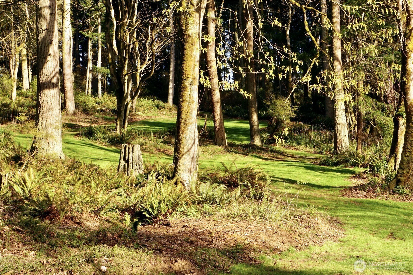 Other - 4236 Goatsbeard Lane, Clinton, WA