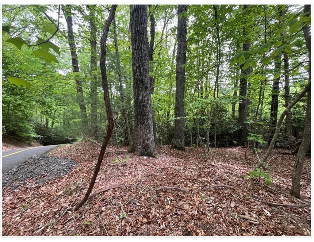 Other - Old Hollow Tr lot: 90, Fancy Gap, VA