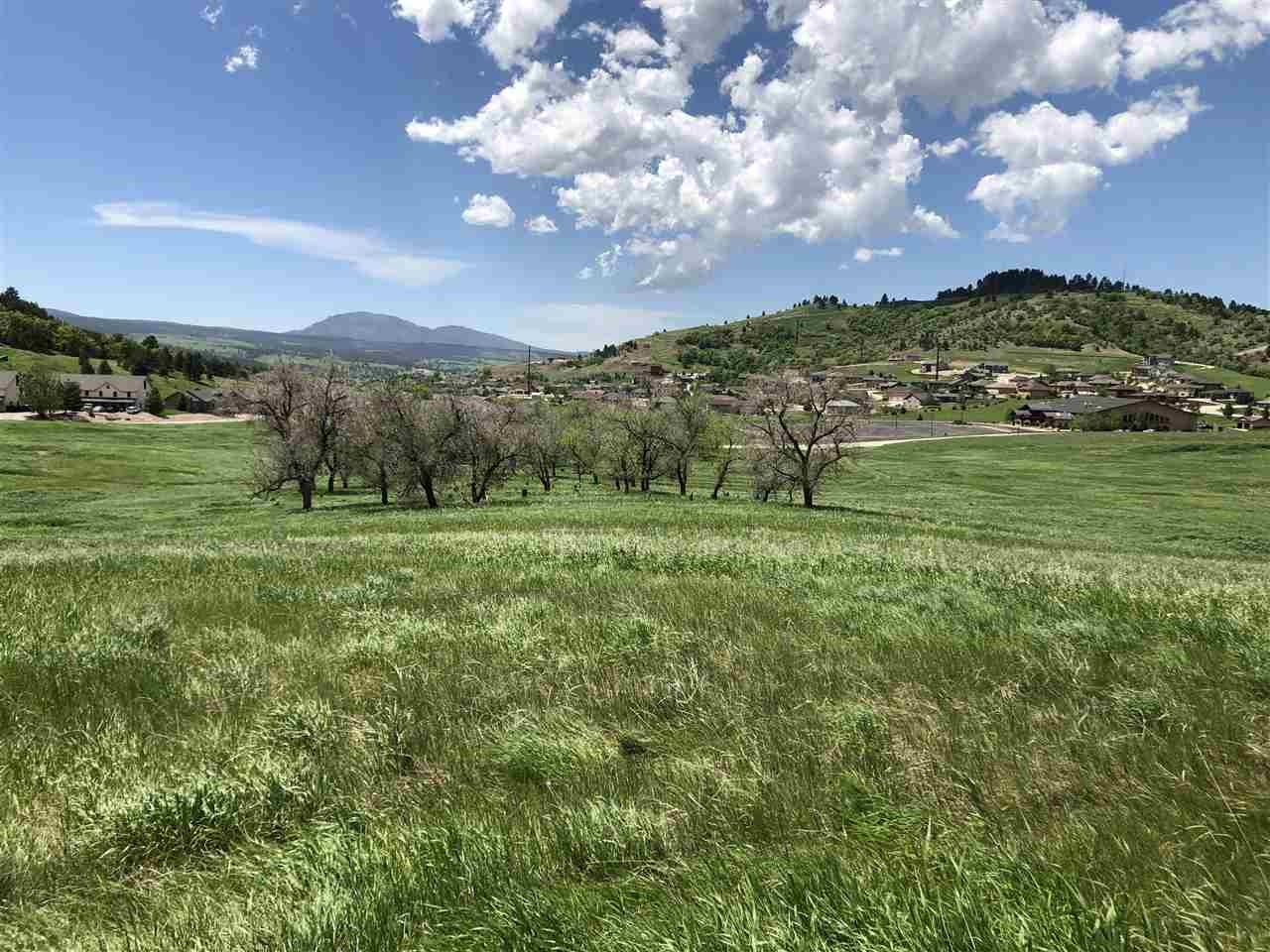 Other - 620 Gooseberry Road, Spearfish, SD