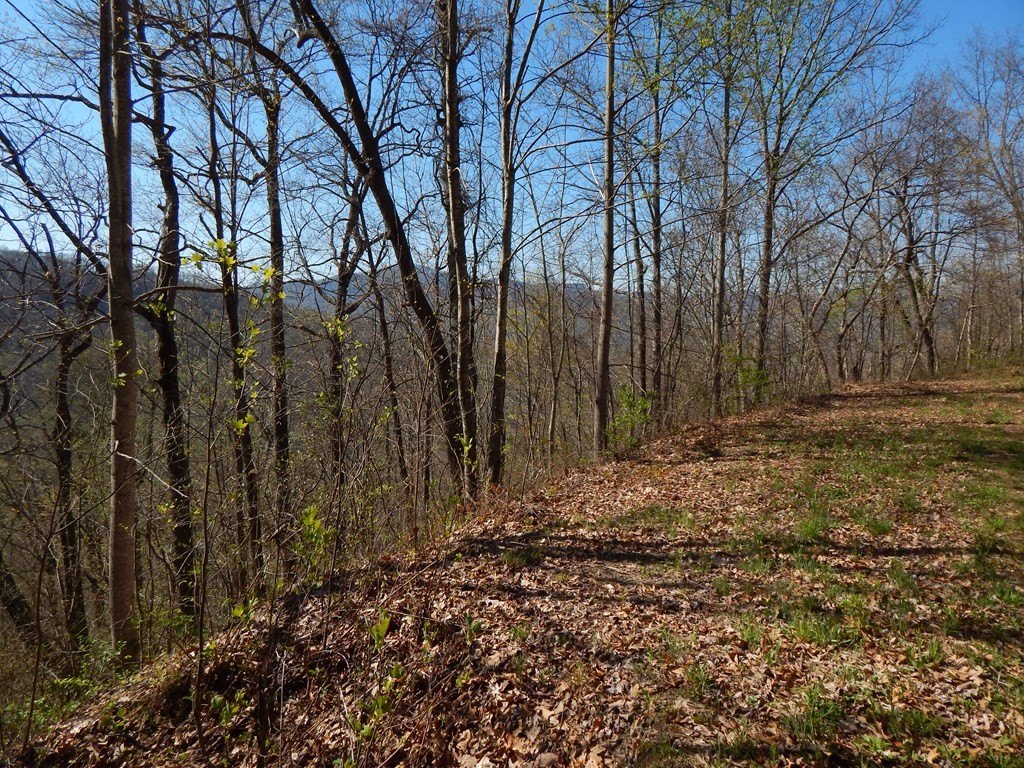 Other - #13 & 14 Burnt Leaf Lane, Hayesville, NC