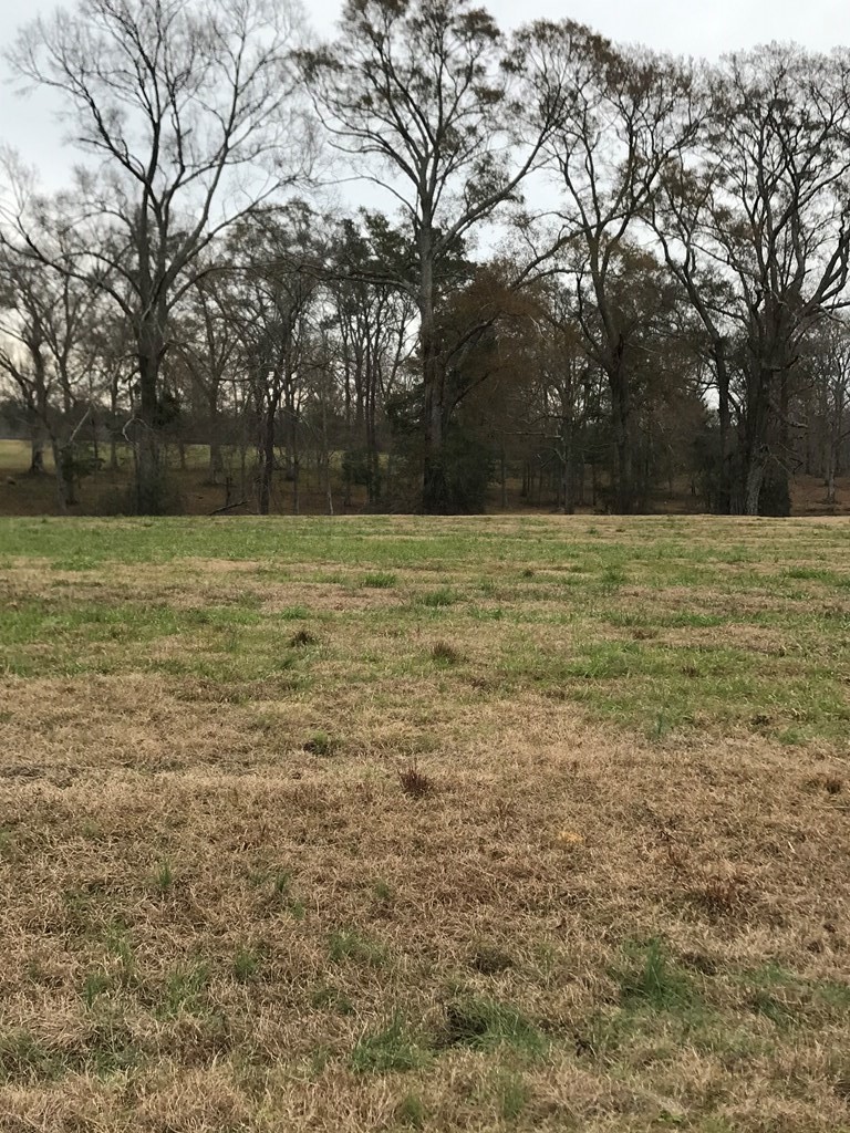 Single Family - 0 Whispering Lane Lot 53, Poplarville, MS