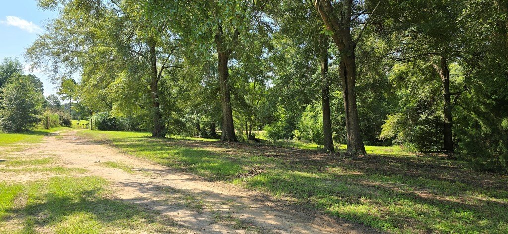 Single Family - 4739 Wallace Buie Rd, Webb, AL