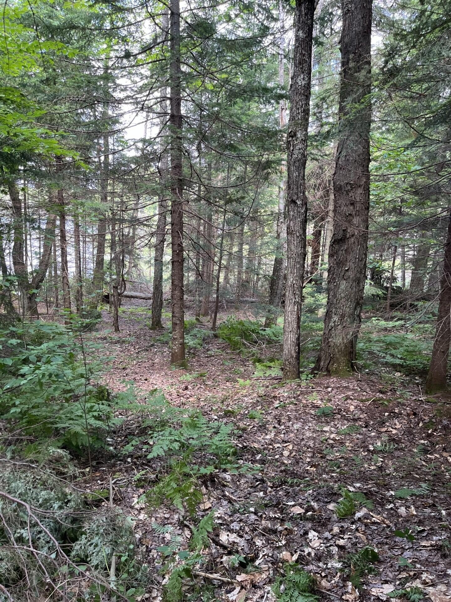Other - West Chesbrough Lake Rd., Newberry, MI