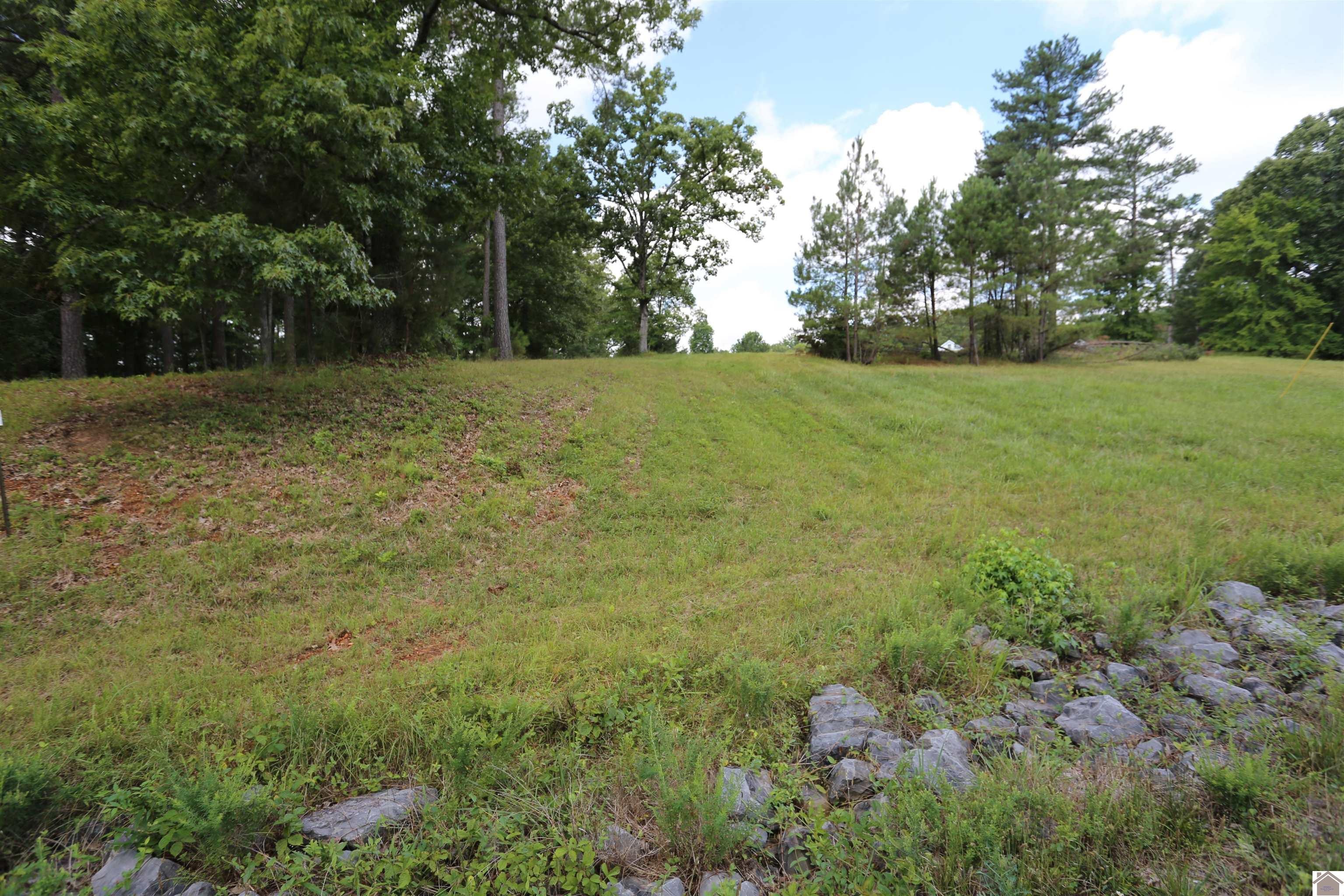 Other - Lot #52 Doe Valley Drive, Benton, KY