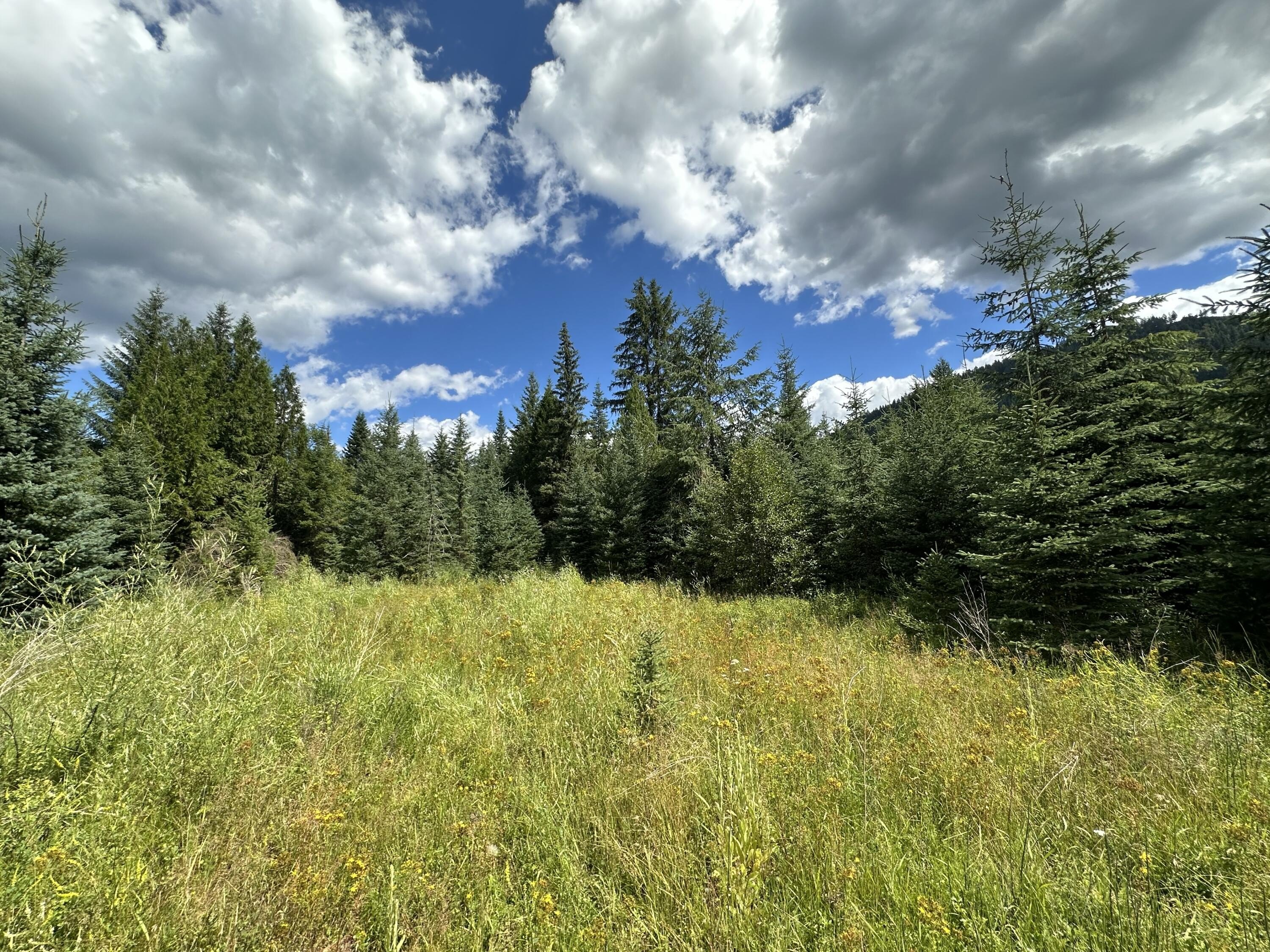 Other - 3331 DEEP LAKE BOUNDARY RD, COLVILLE, WA