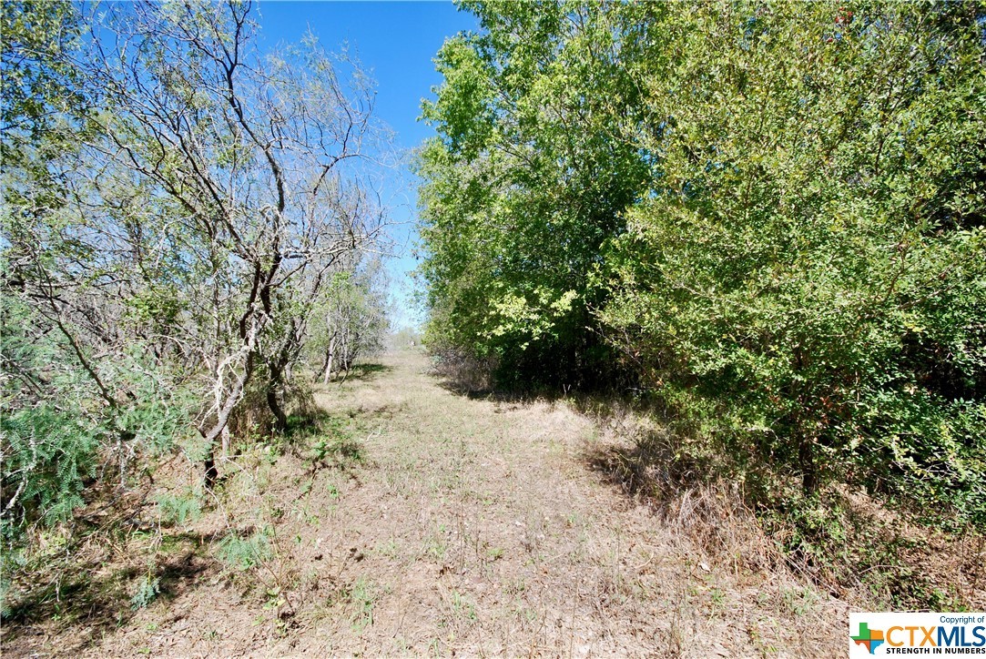 Tract 4 Maynard Hallmark Rd