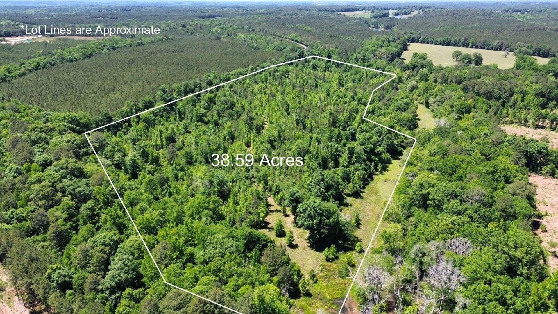 Other - 38.59 acres LESLIE MILL ROAD, Greensboro, GA