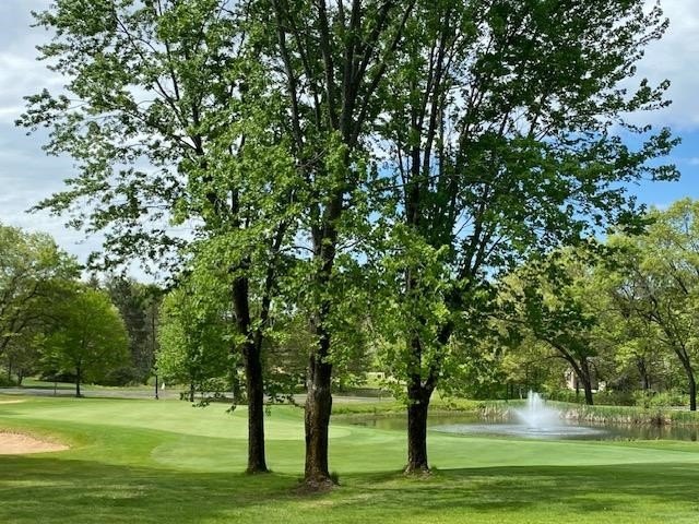 Other - 457 Duffers Trail lot: 2, Nekoosa, WI