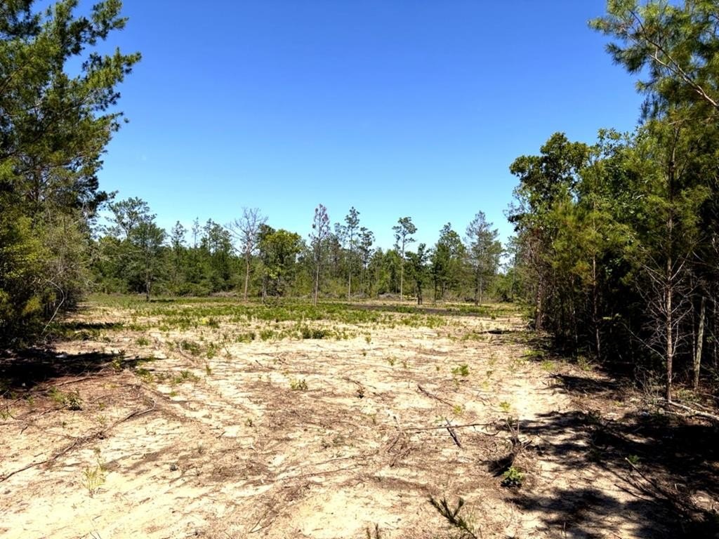 Single Family - 5 CR 167, Fountain, FL