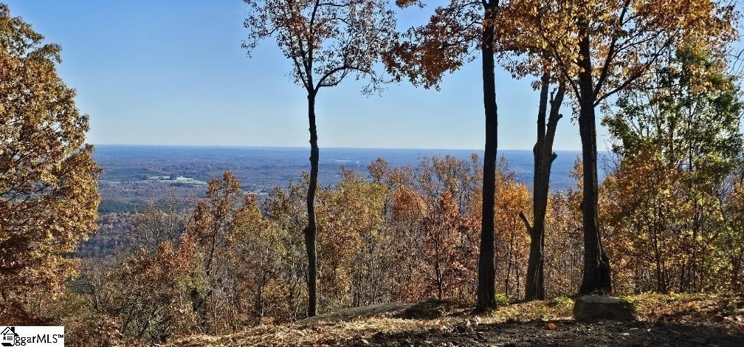 Other - 225 Lost Trail Drive, Landrum, SC