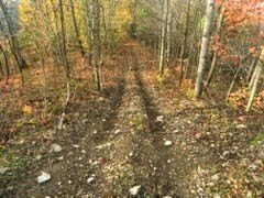 Other - 000 Right Fork of Rockhouse Road, Pikeville, KY