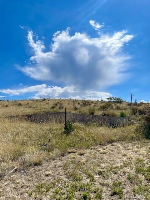 Other - 1971 County Road 27a, Cotopaxi, CO